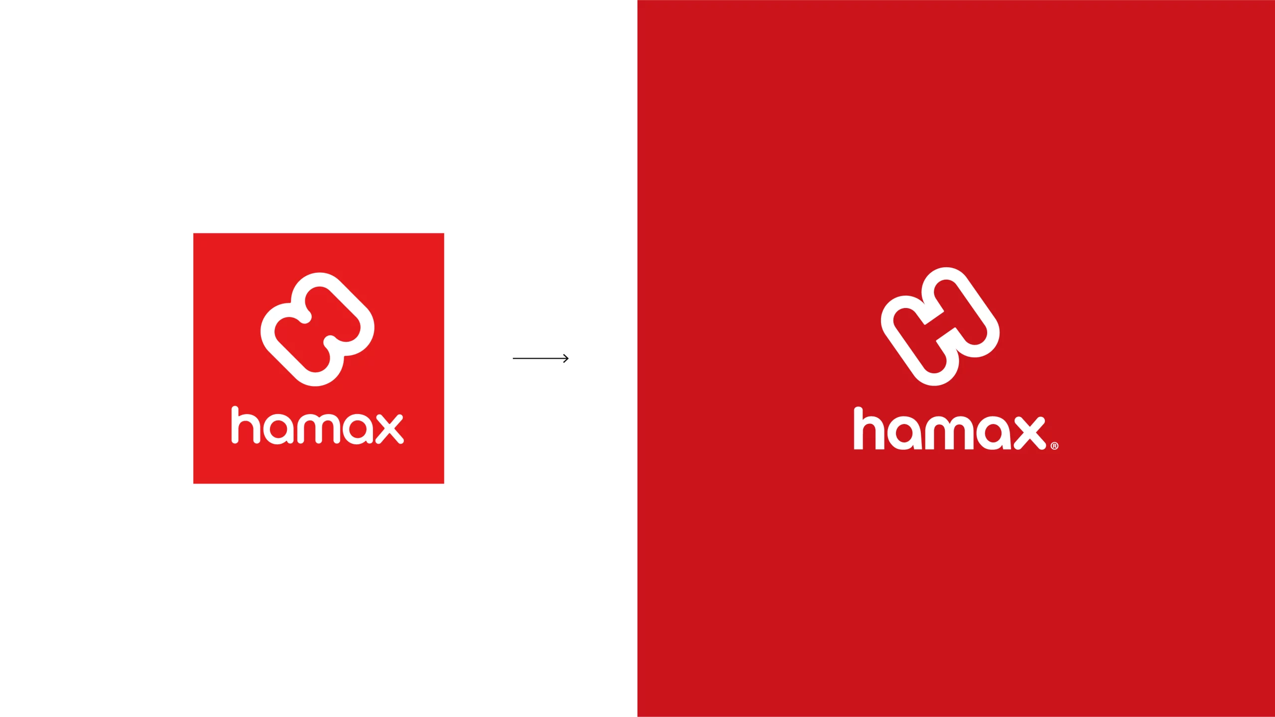 Hamax 16.9_hamax_7