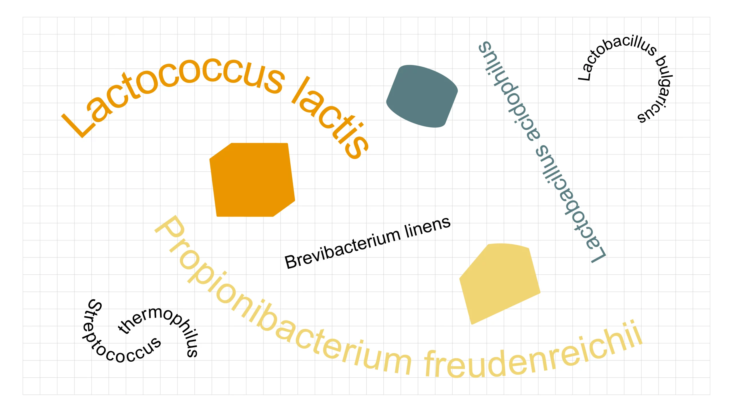 cheese-symposium_15